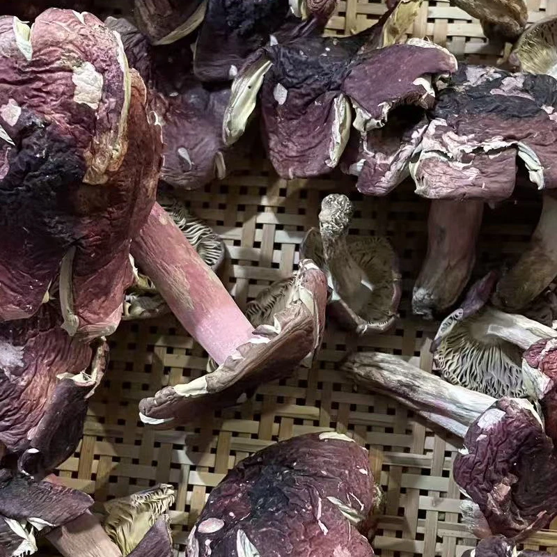 【裂菇】新货云南正红菇干货 红面蓝灰底红蘑菇月子菇