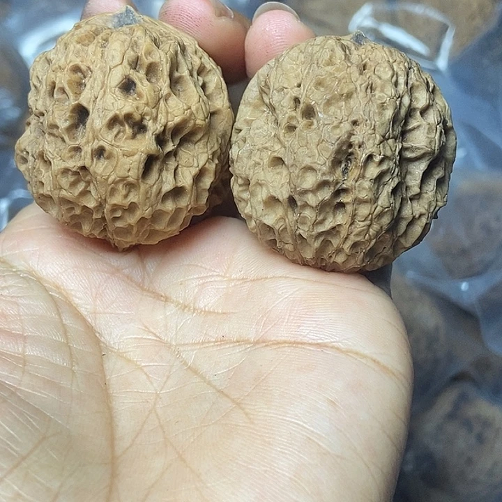 文玩核桃把件云南铁核桃基地48