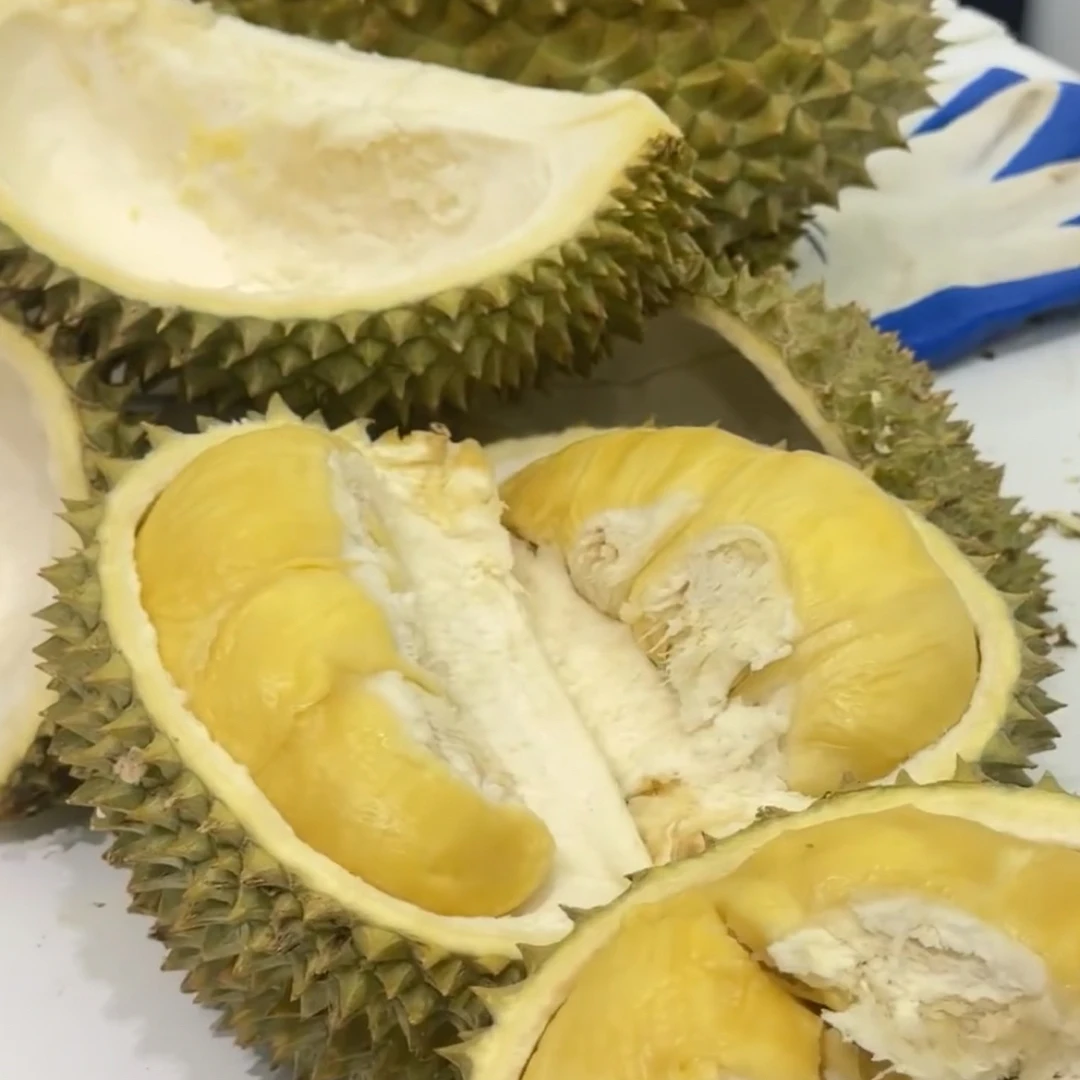 金枕榴莲大果8.5-9斤左右新鲜榴莲核小金枕越南