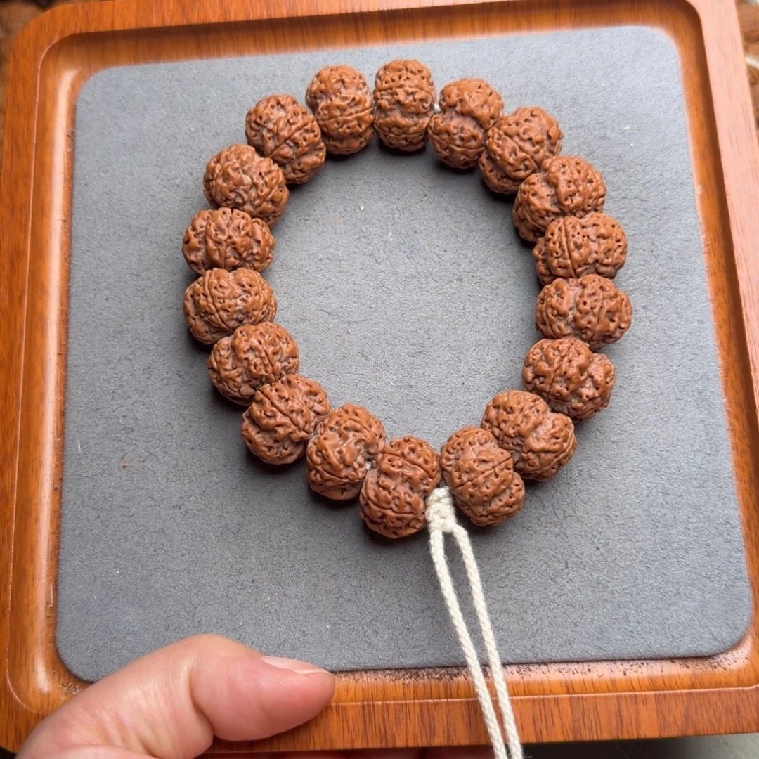 菩提菩提28号尼泊尔大金刚22凹底梅花