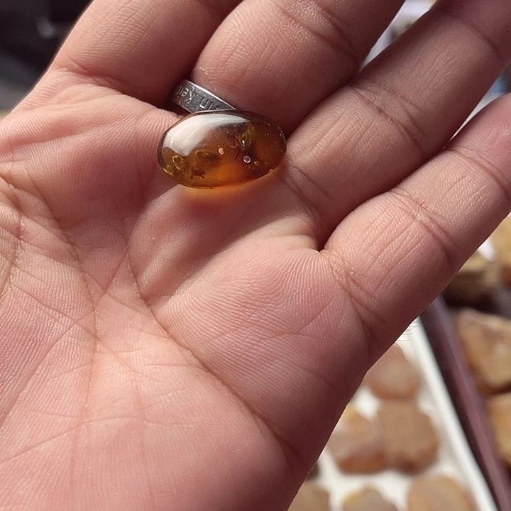 定制琥珀吴*天然琥珀虫珀
