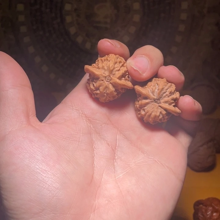 核桃手串/手链龙鳞32尺寸全品