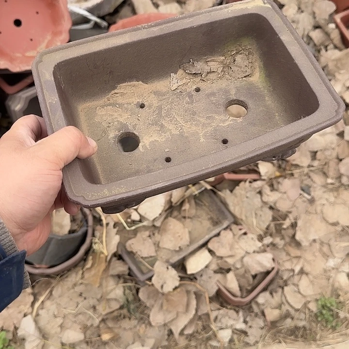 在这片美丽之乡上海举办画展等重要展览及举办大型