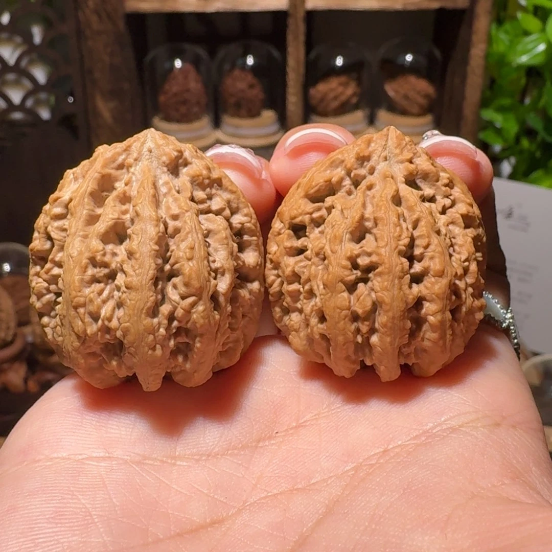 文玩核桃把件蚂蚁包子