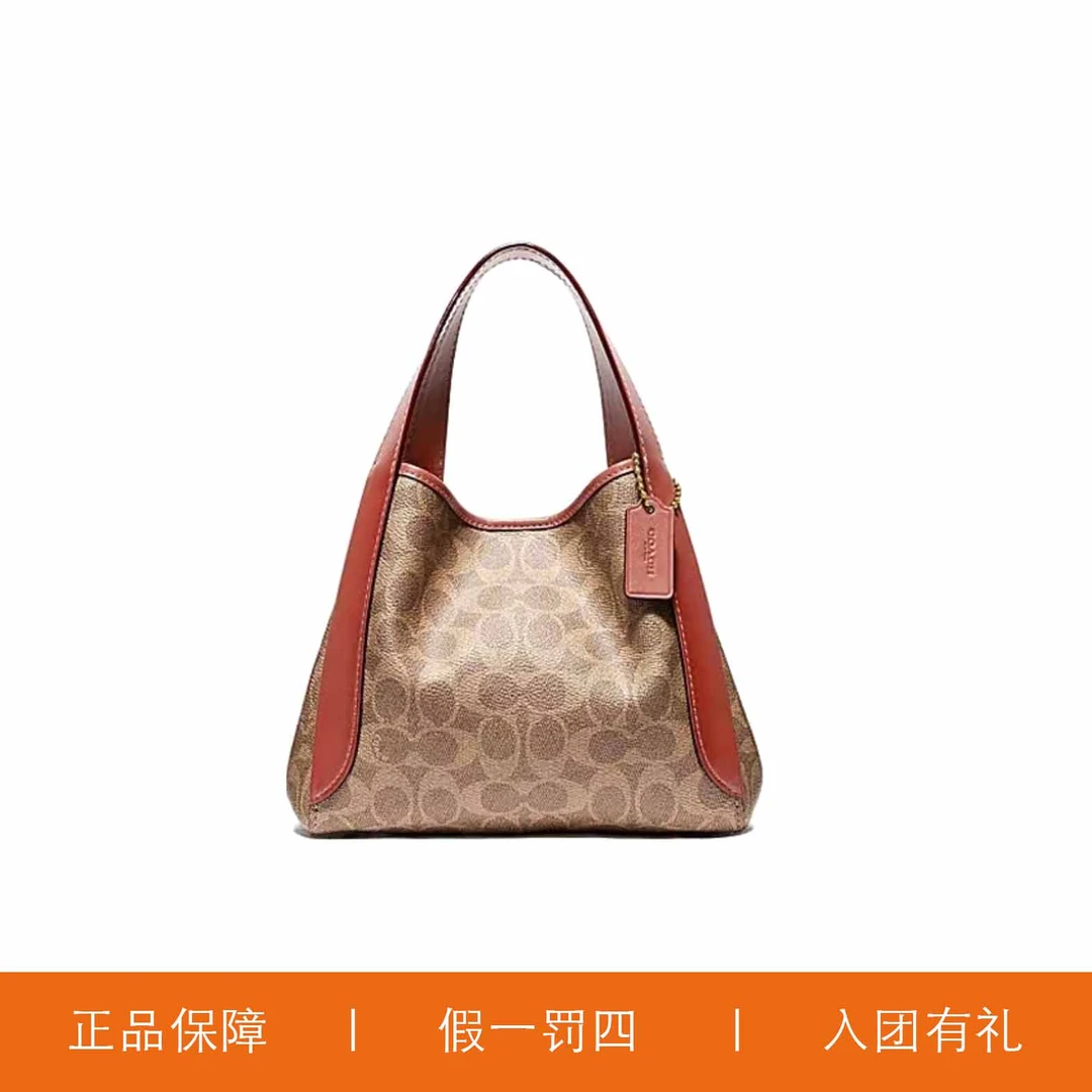 95新 蔻驰红棕老花菜篮子/H5163/21X17X12
