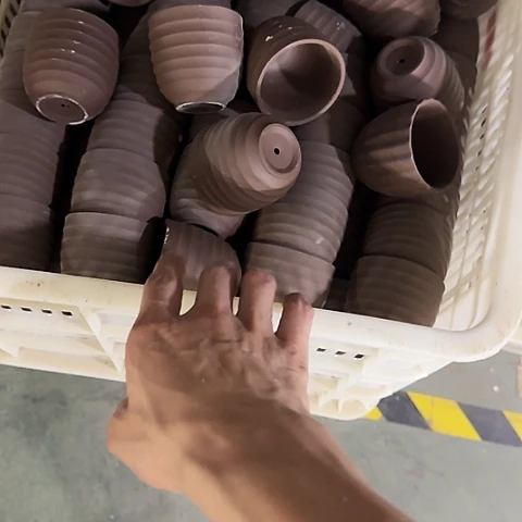 12个····全是福利····6043