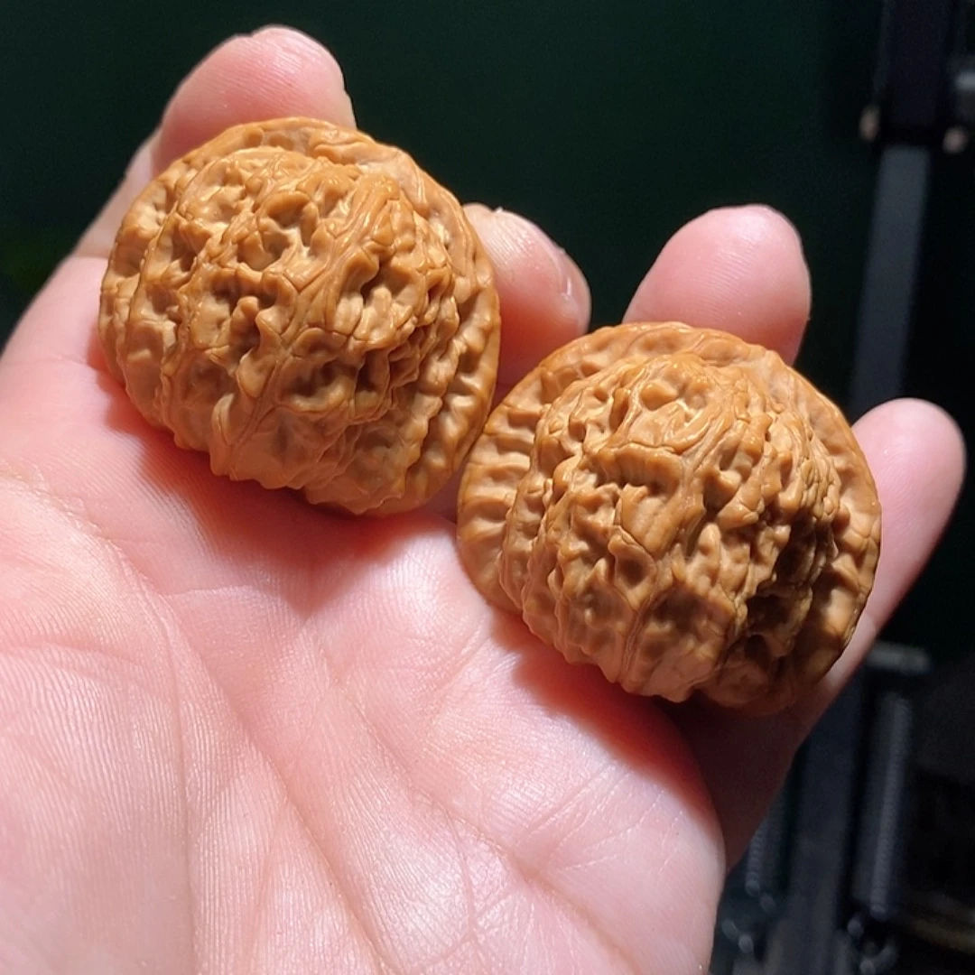 文玩核桃把件41白狮子全品