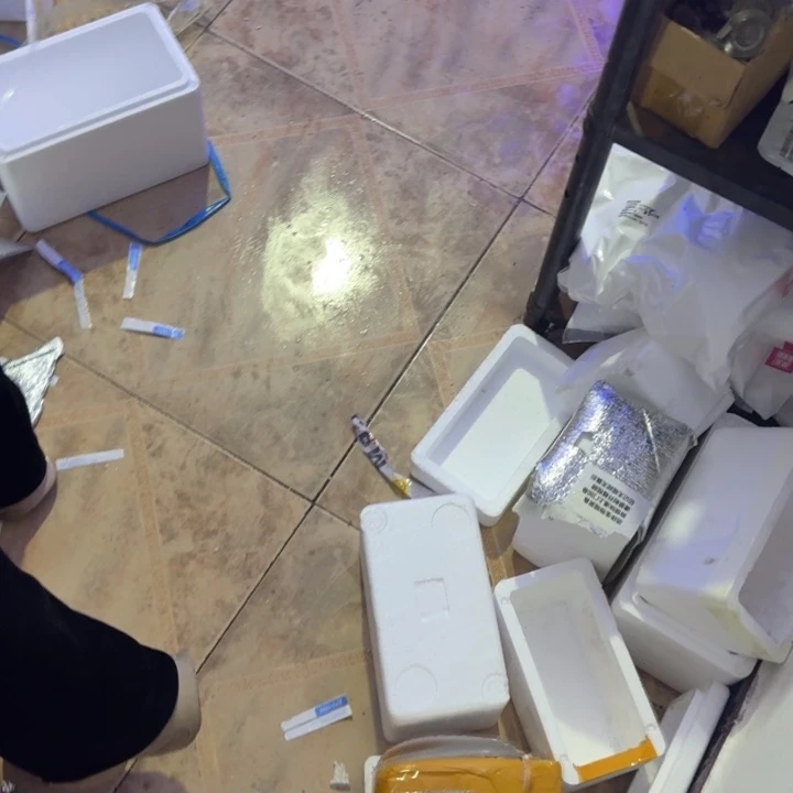 l***奶嘴海葵海猪11114