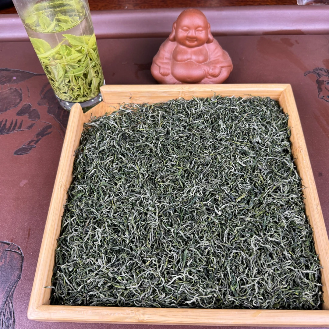 2025雨前高山毛尖娄头