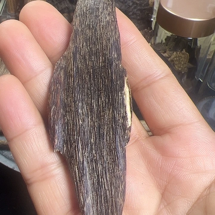 树脂制品学*海南天然树心油虫漏9.8克