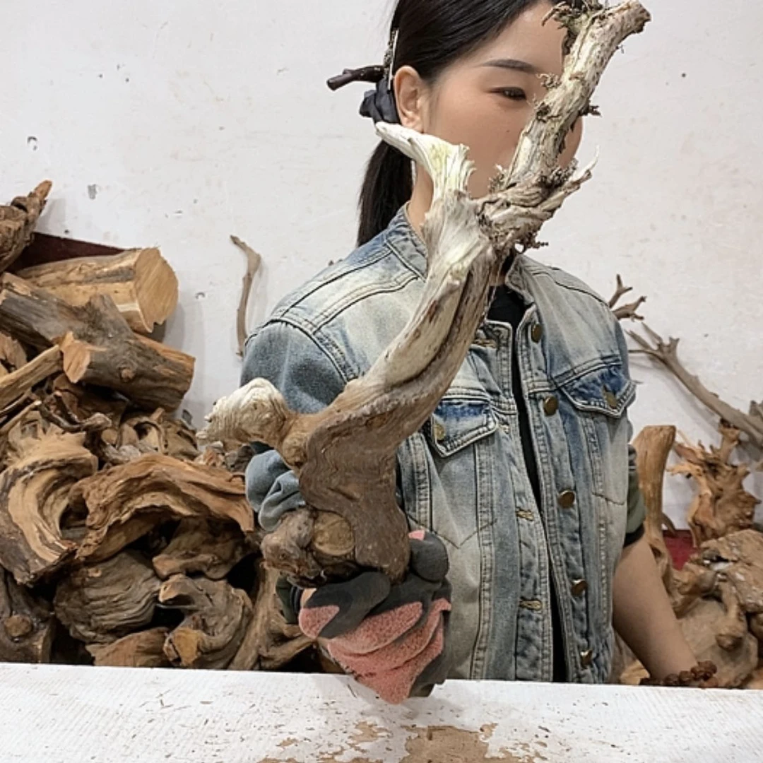 【闪购商品】柏木二**头我们都是好孩子