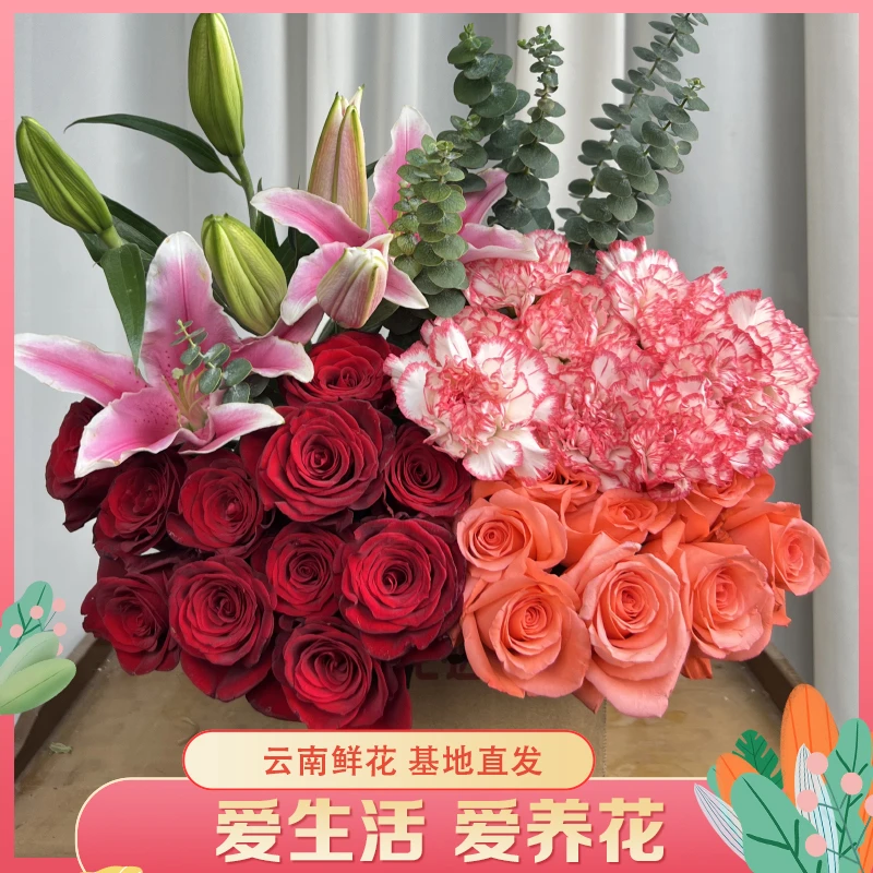 【红玫瑰百合康乃馨鲜花组合】云南直发玫瑰鲜花 水养鲜切花DIY插花