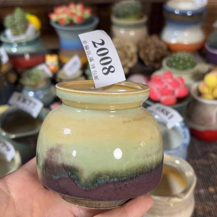 口5高6 ……活动价满30包邮