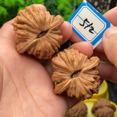 文玩核桃吊坠蓟县楼43