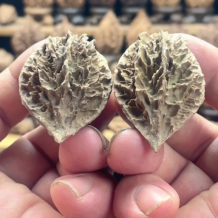 把件文玩核桃刺背龙脊19