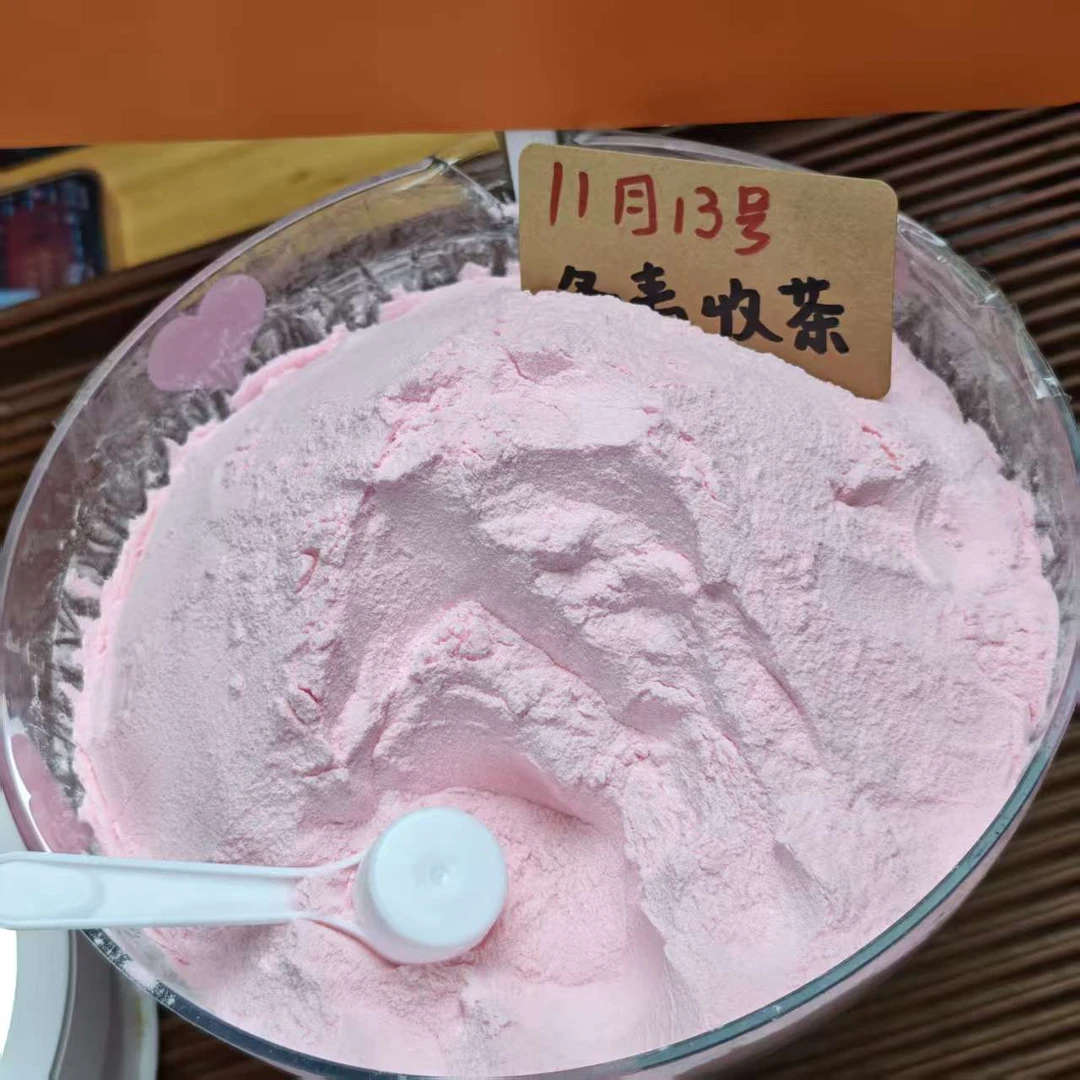 诺丽果针叶樱桃粉 冬青收茶