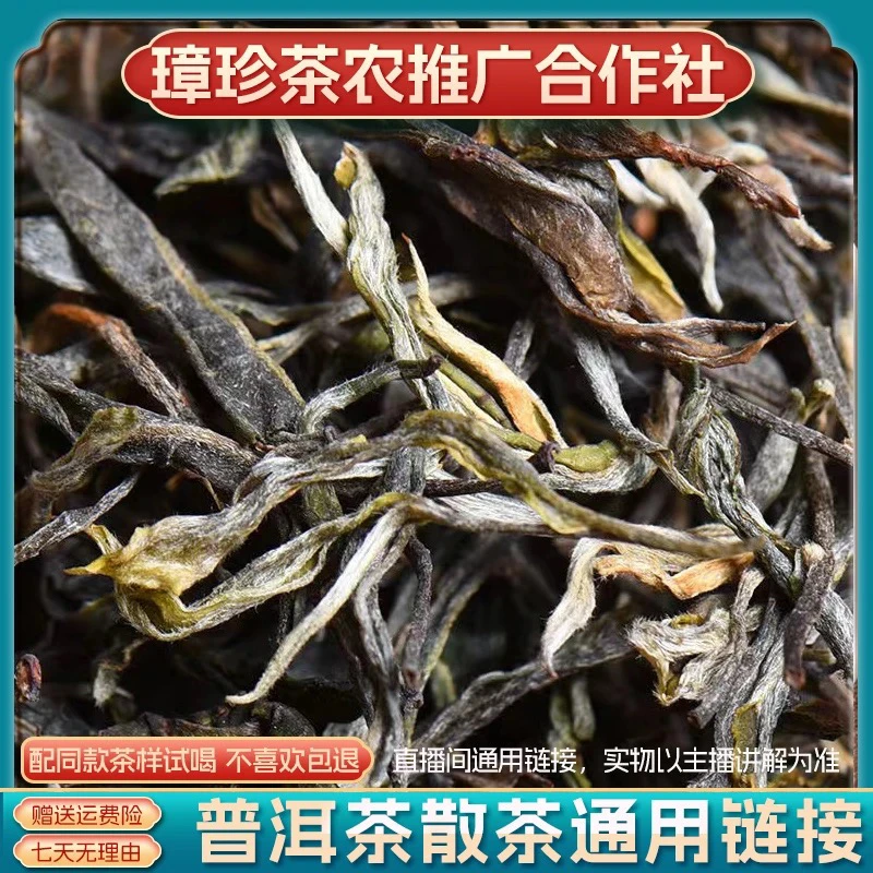 【璋珍村】兰花地古树春茶散料