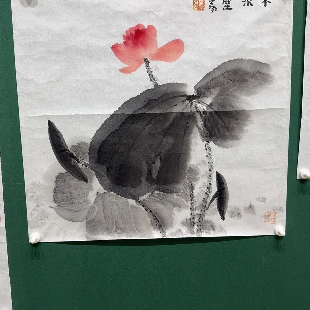 纳***悦国画霍春早，阳老师荷花两平尺