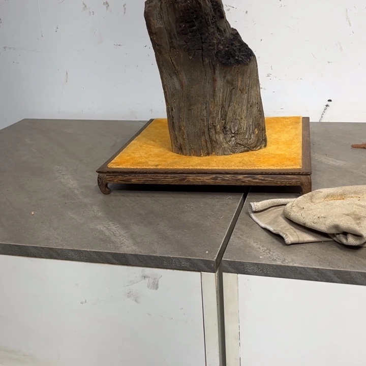 龙***窝柏木（崖柏）崖柏等自然资源和自然资源