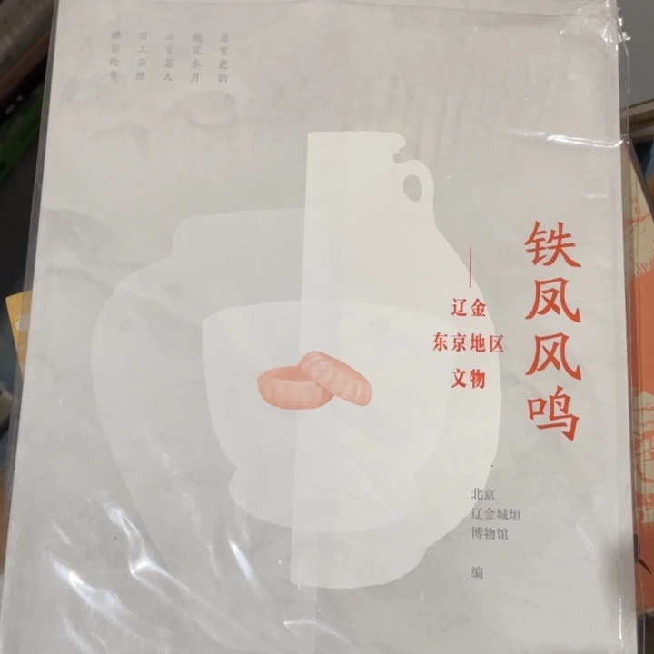 铁凤风鸣正版书籍