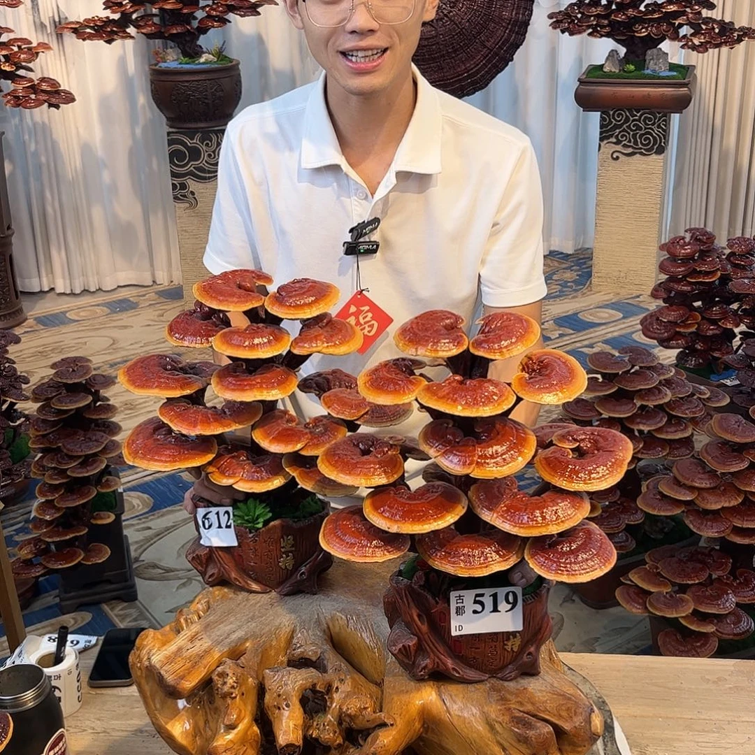 全部花朵88888888888888