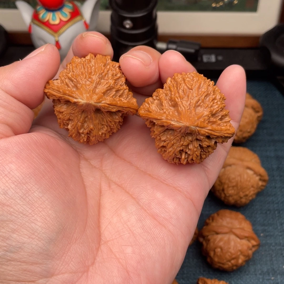 星***河文玩核桃把件全品满天星41