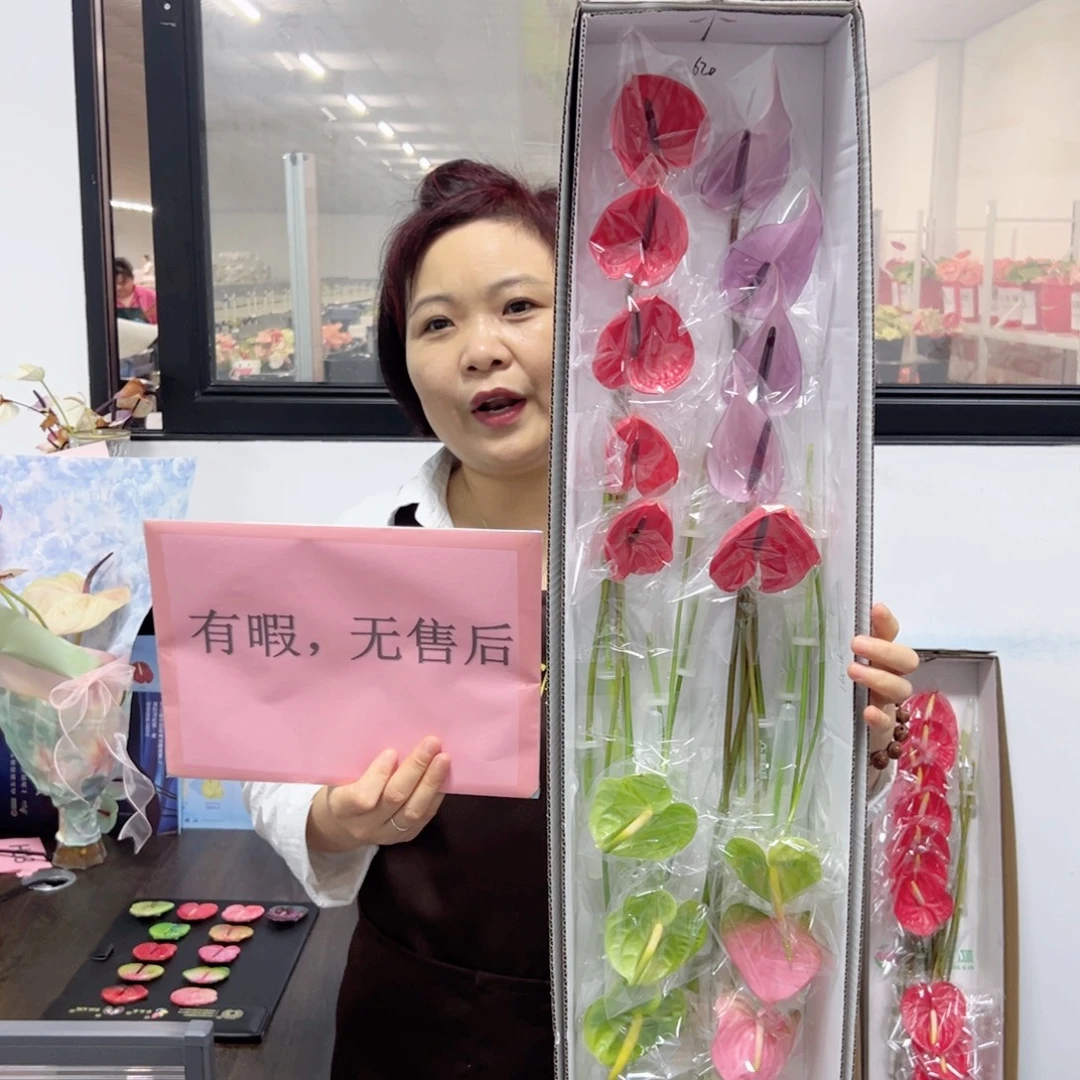 完全开放混色-20枝装无售后款620