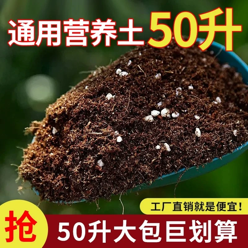 营养土通用型养花种菜通用家用花土多肉草莓花卉绿植种植土壤泥土
