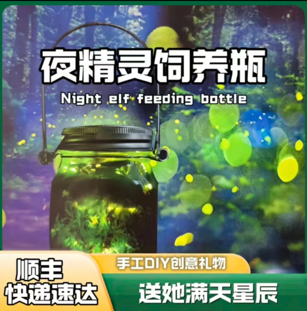 人工养殖萤火虫 夜精灵饲养盒 手工DIY观察饲养套装瓶创意礼物