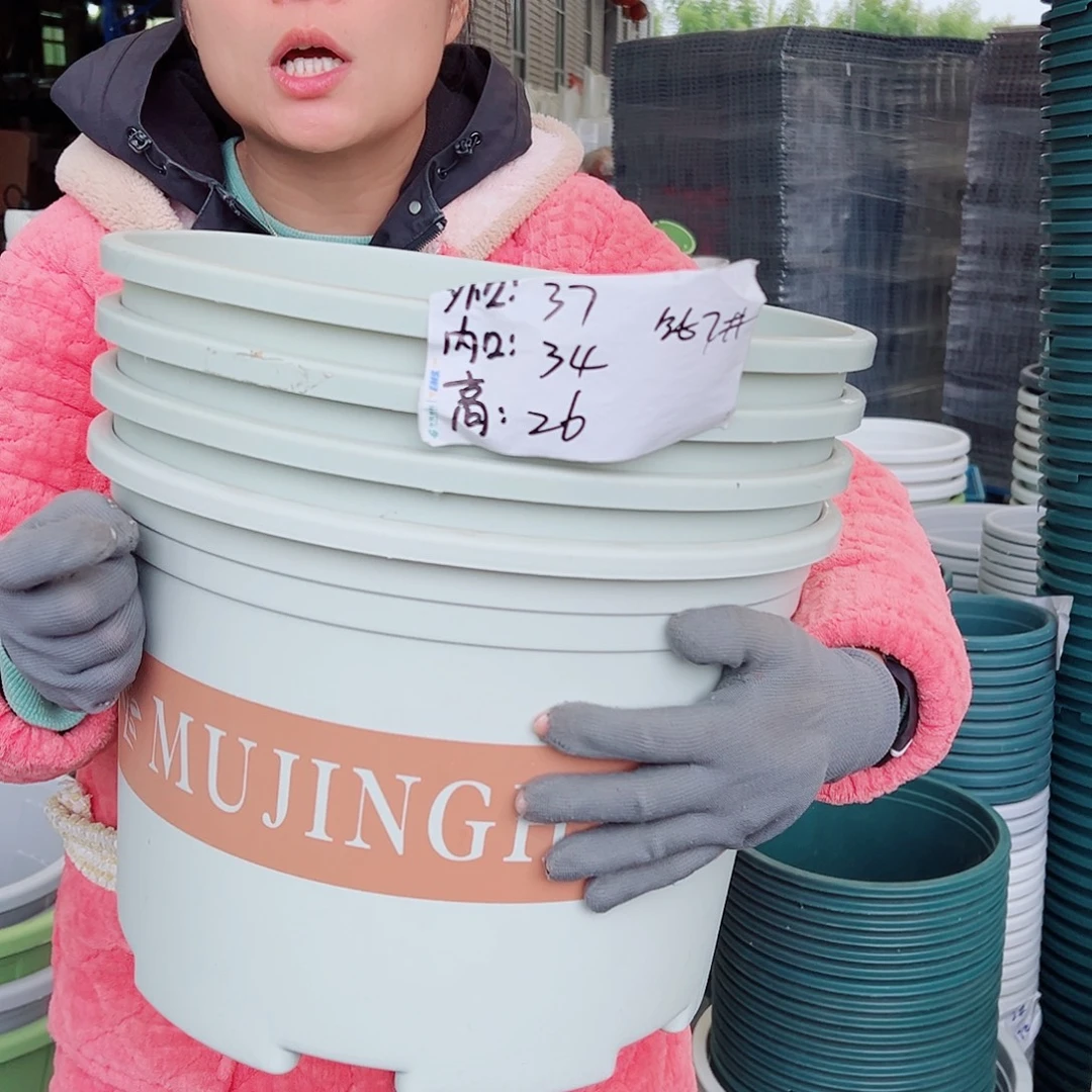 矮胖7#米白色4个无托