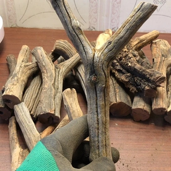 大果紫檀（缅甸花梨）杰**少
