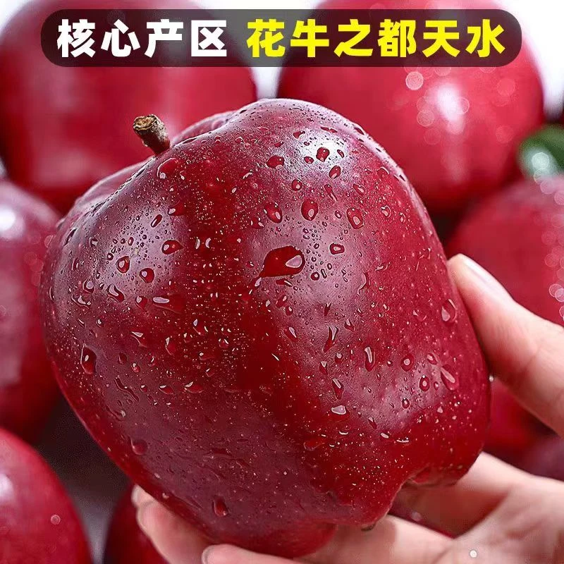 2025甘肃天水花牛苹果脆粉两吃当季新鲜水果蛇果整箱包邮产地直发