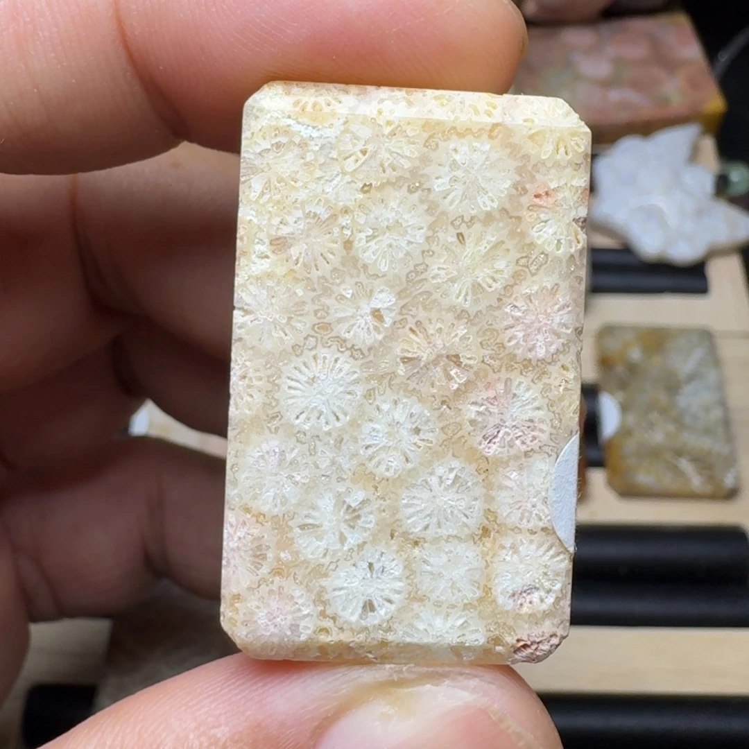 未镶嵌纯天然色有机玉石保真色硅化玉
