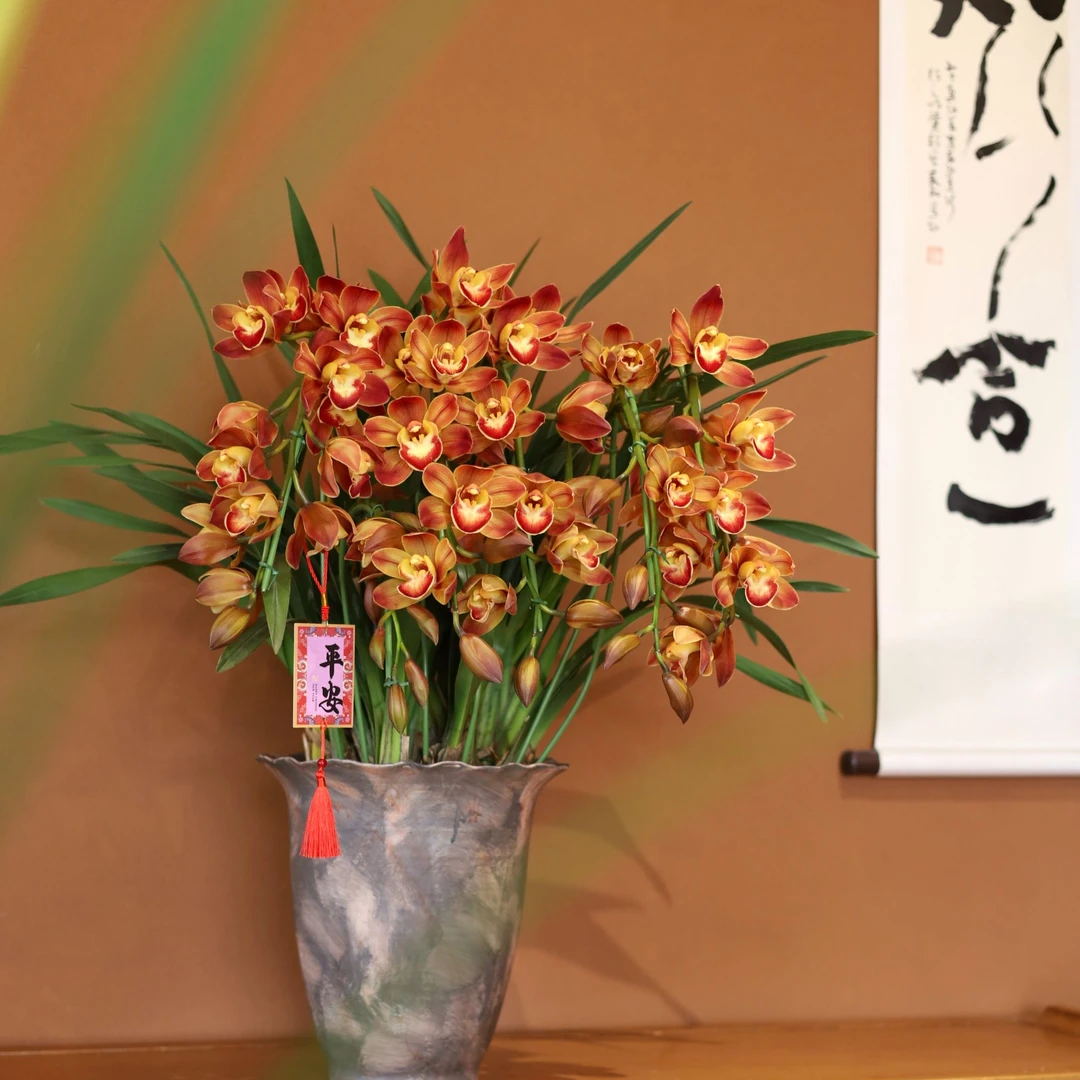 【美美精选年宵花】麒麟拱兰 顺丰包邮