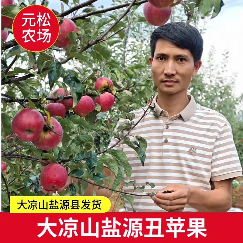 【元松农场直播特惠】大凉山丑苹果又脆又甜精品好果