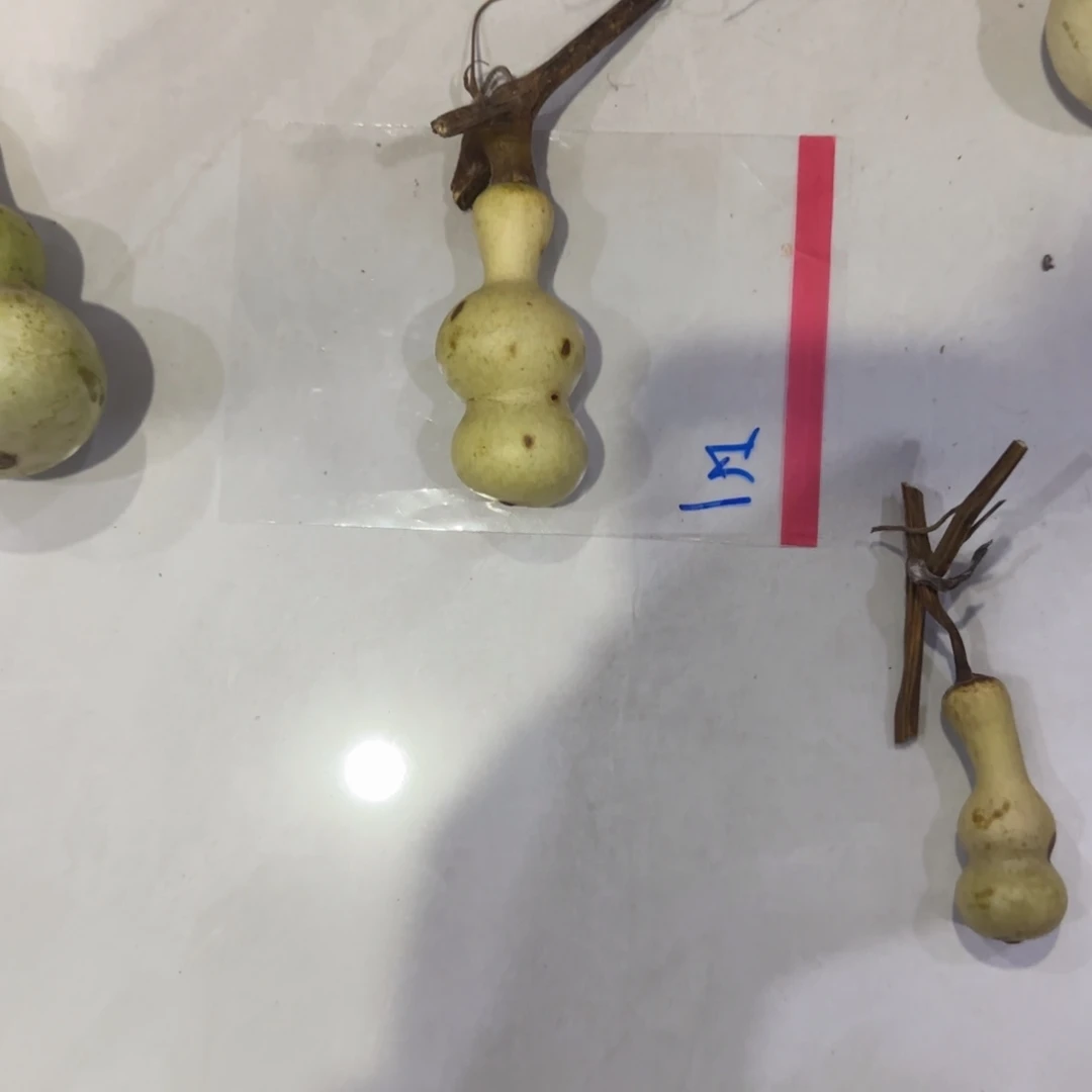 根***哥青皮不包成青皮不包成