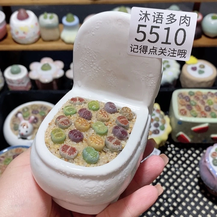 带盆土植物 一物一拍5510