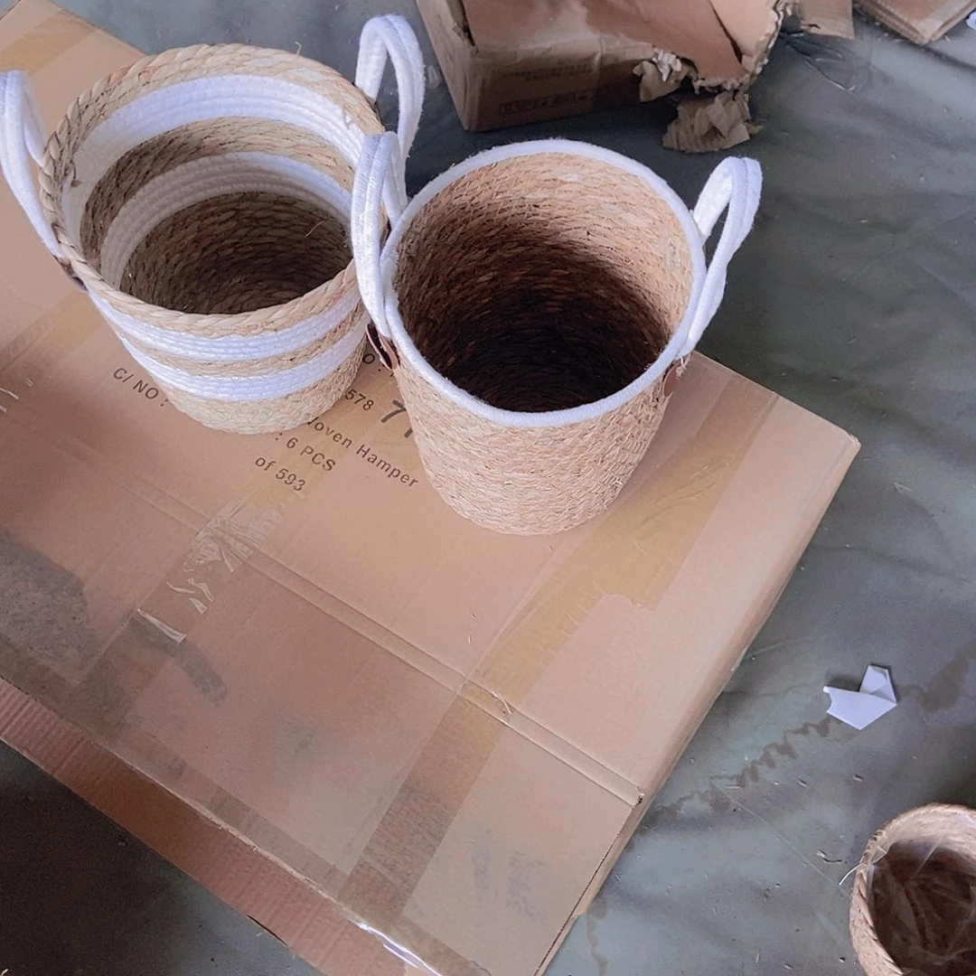 密码牛津纺极兔294