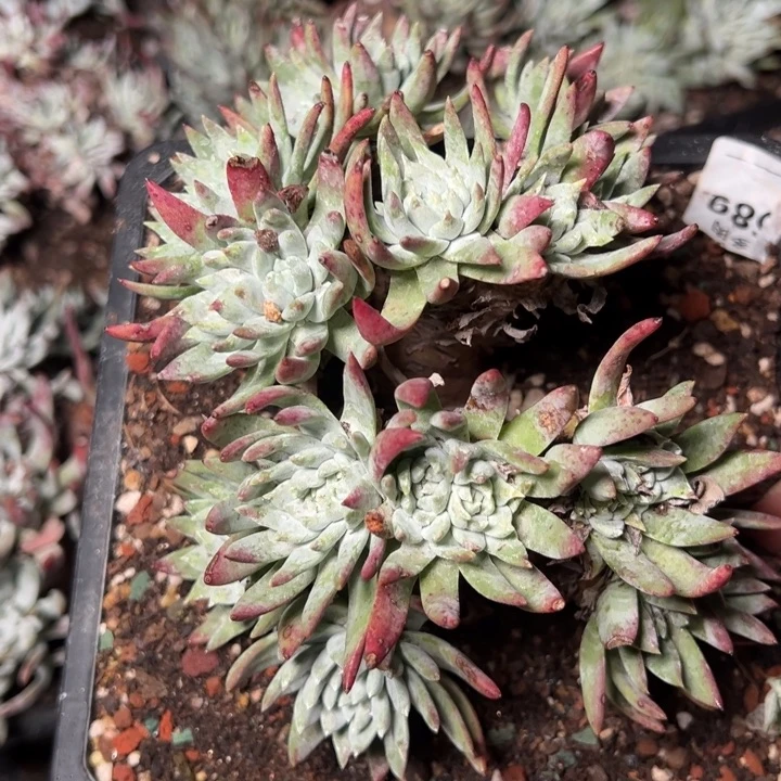 106哈哈哈哈哈哈哈哈