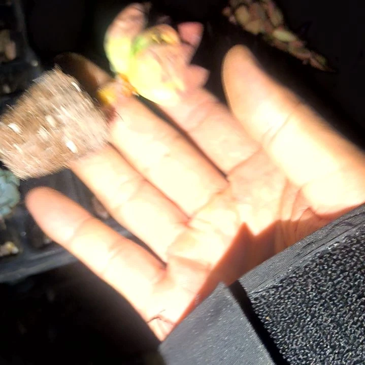 桃花源，满8.8元包邮，