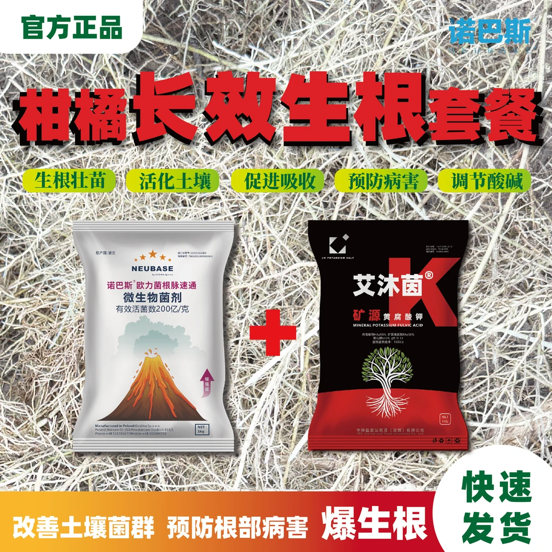 柑橘长效专用生根促根护根提高提升活力微生物生根剂枯草芽孢杆菌