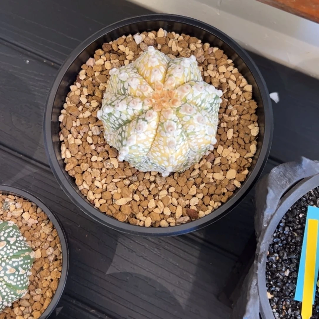 哈哈哈哈哈哈哈哈哈