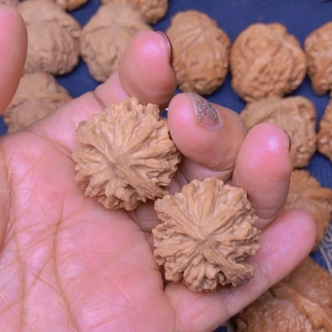 【闪购商品】文玩核桃吊坠猫****球野生苹果32