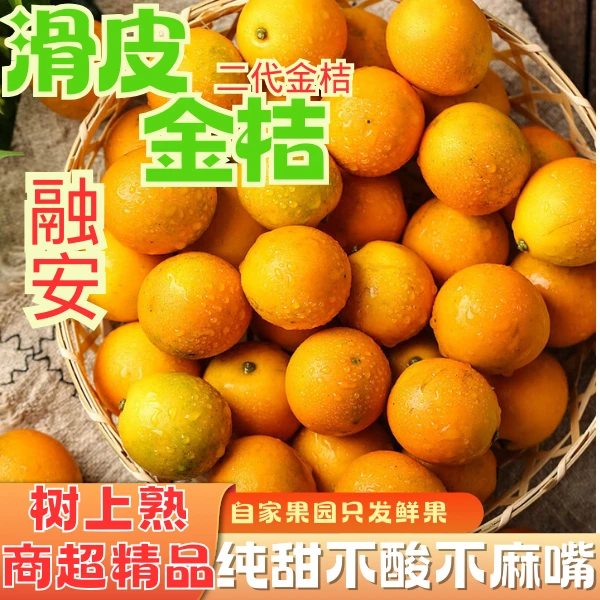 融安二代脆皮滑皮金桔爆甜非脆蜜【静静】