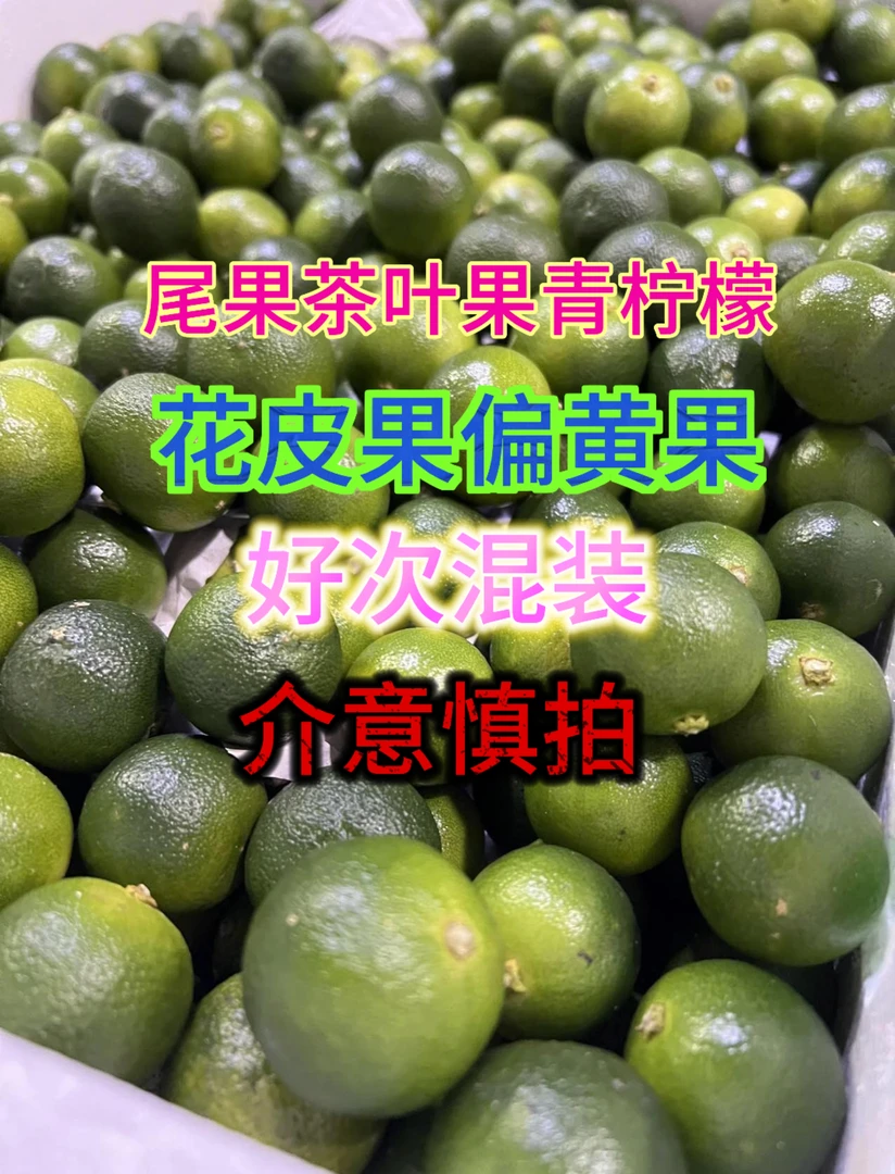 海南多汁青柠檬树上尾果茶叶果鲜果柠檬小果榨汁泡水奶茶店整箱