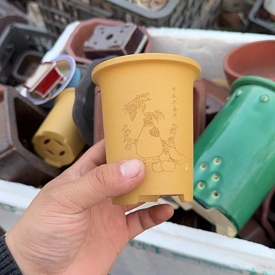 这一期太有意思咯好棒好可爱呀太喜欢这