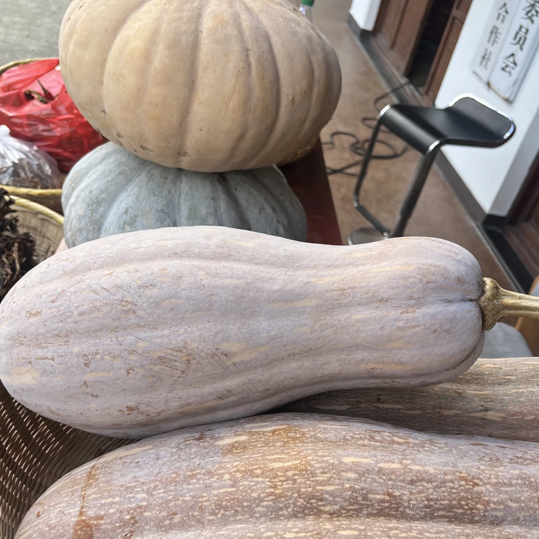 姜妈赶集里商农家土货老南瓜7斤