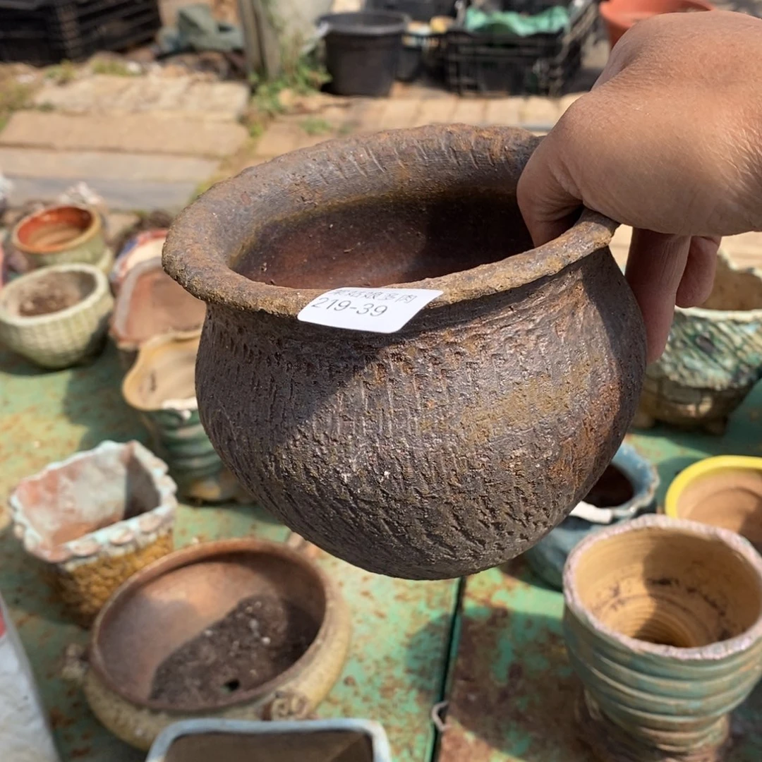 红陶像****笑39号多肉盆一个呀