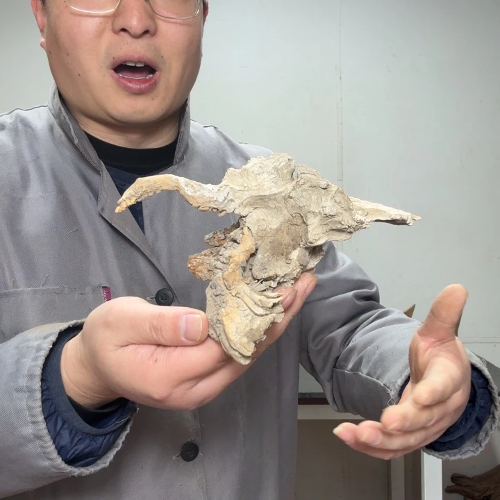 顺***蜜香榧木工艺品精选