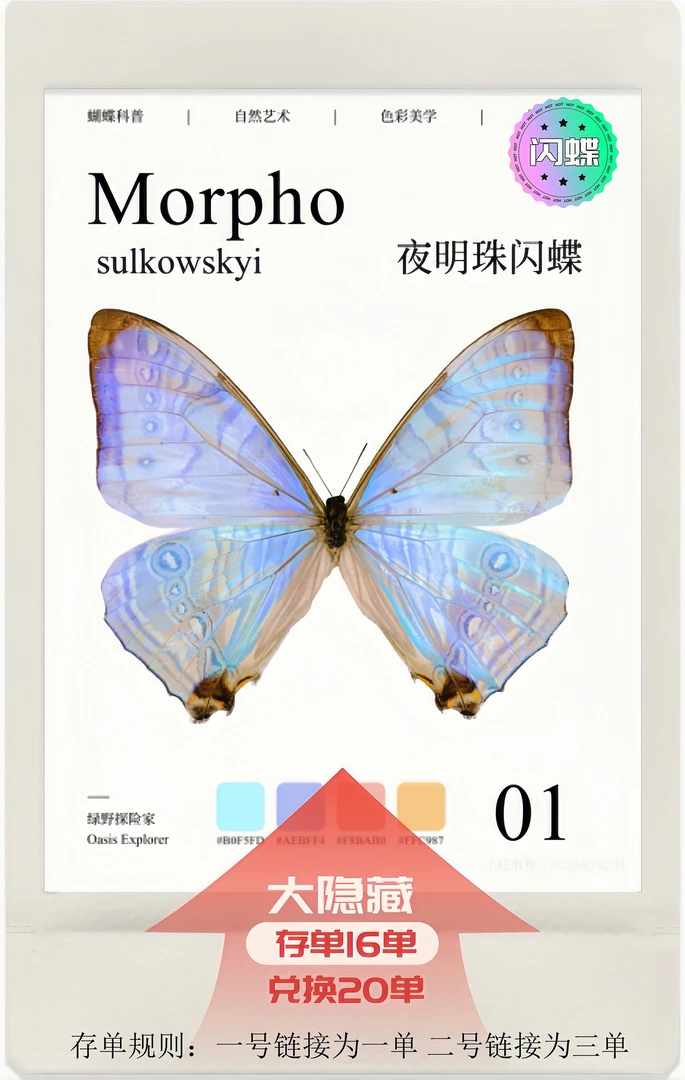 《闪蝶类》相框标本